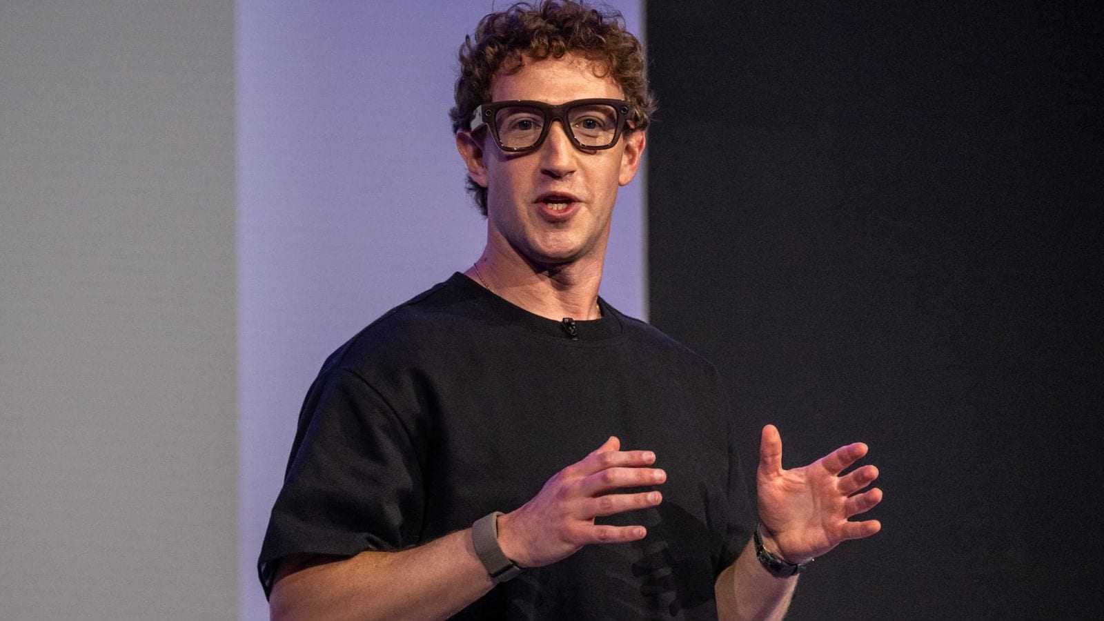 US Gov Presses Meta to Share AI Models for Review